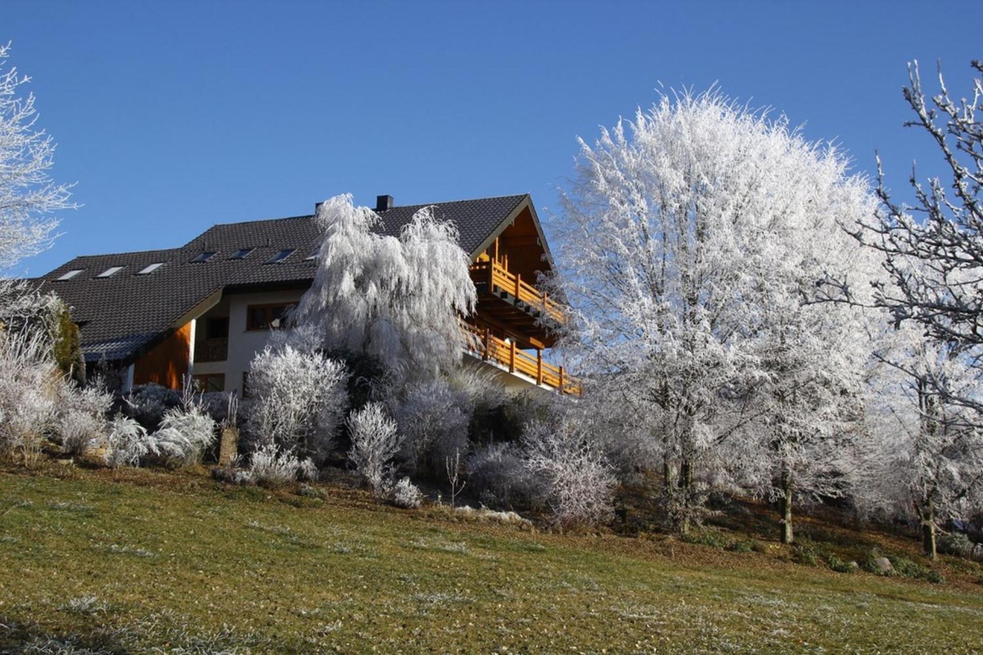 Haus Am See Illmensee Exteriér fotografie